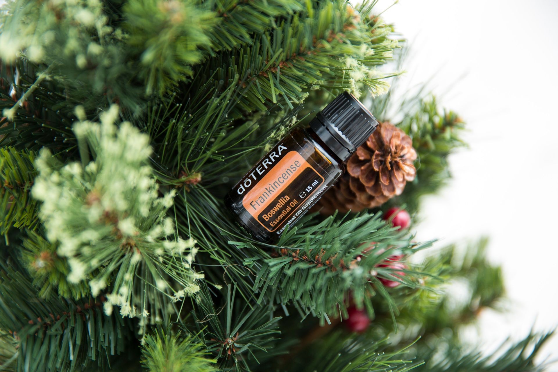 Frankincense Essential Oil