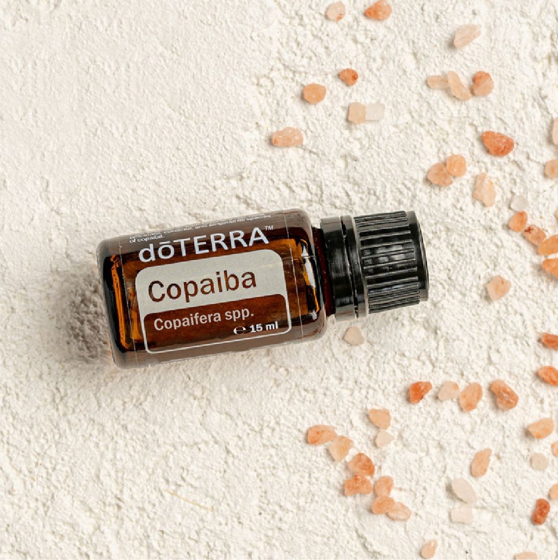 Copaiba essential oil is derived from the resin of the copaiba tree, which grows over 100 feet tall in tropical South America.