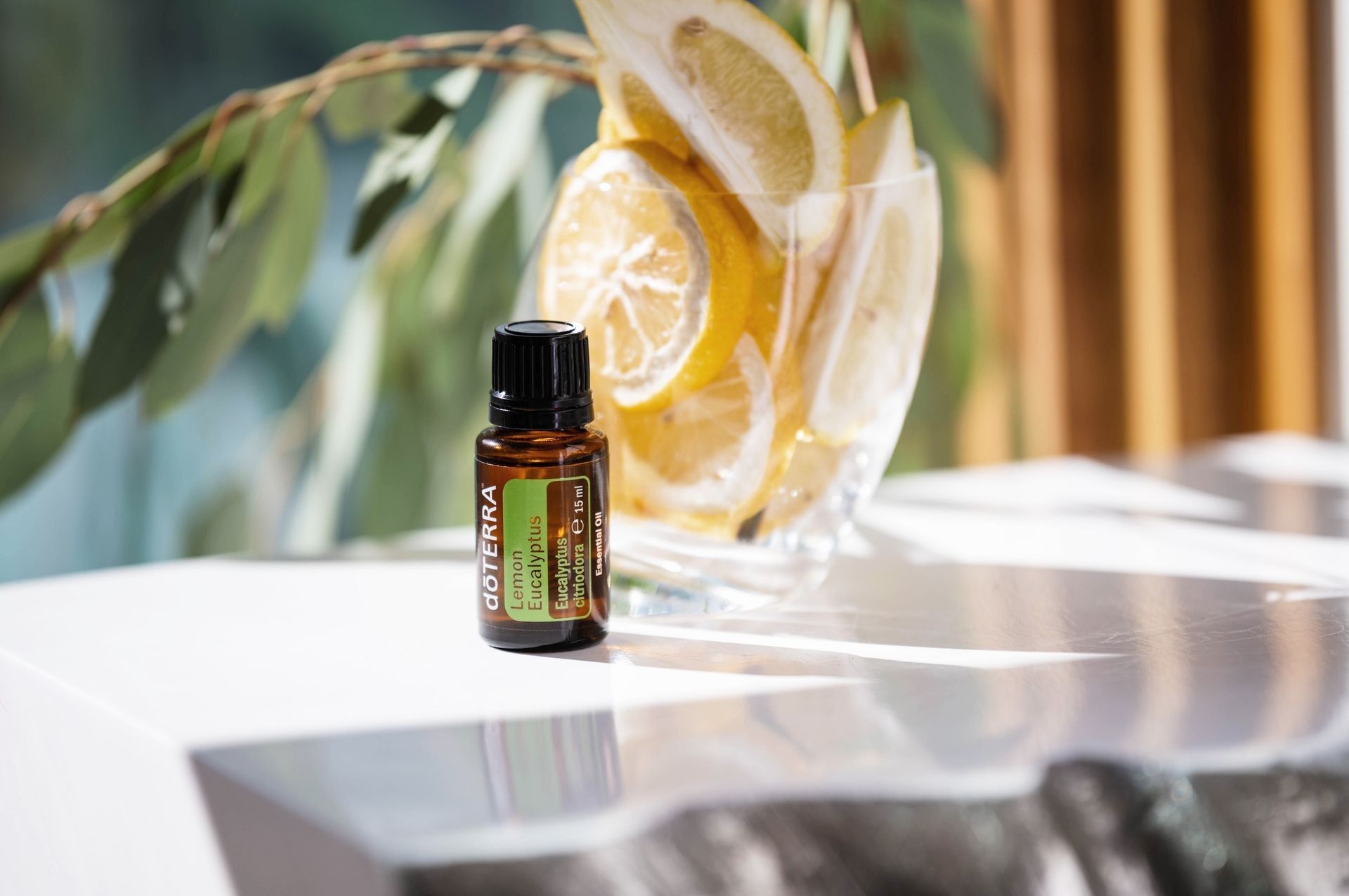 Lemon Eucalyptus essential oil is derived from a lemon-scented blue gum eucalyptus plant—a tall tree with smooth bark.