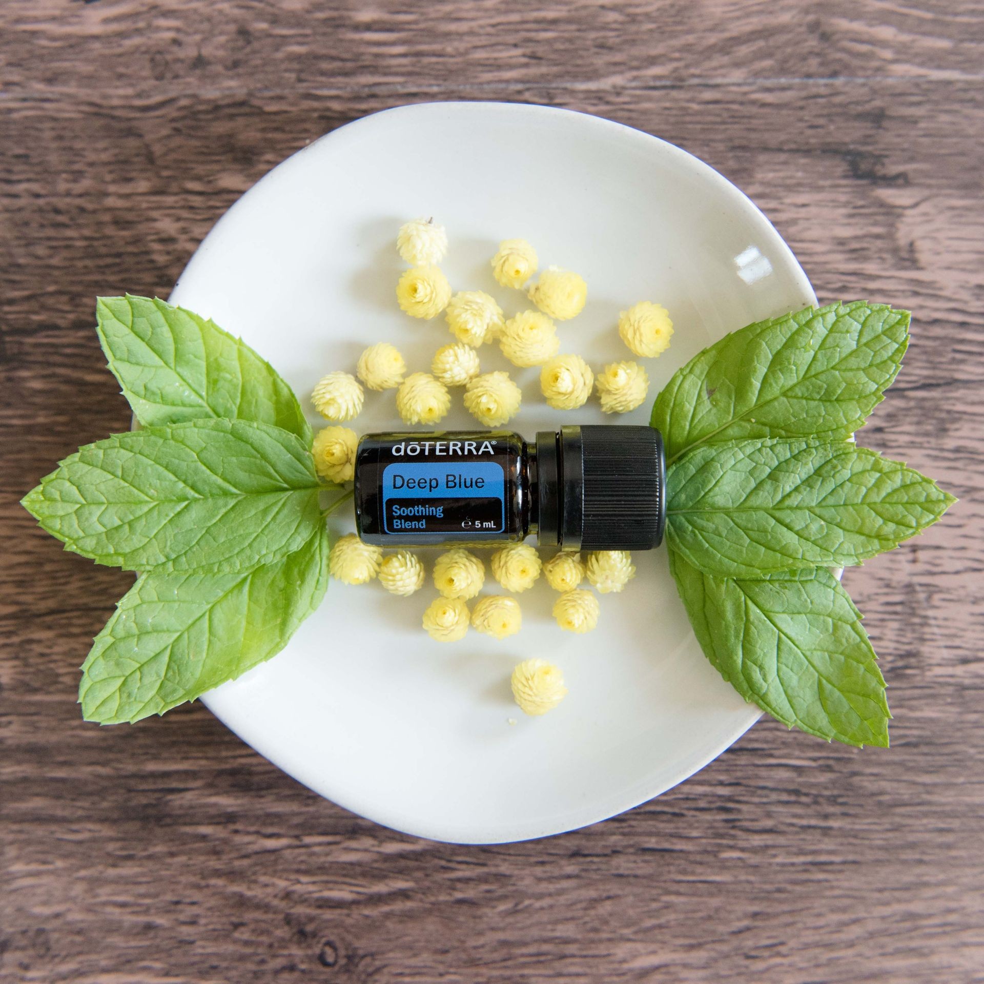 CPTG® Wintergreen, Camphor, Peppermint, Ylang Ylang, Helichrysum, Blue Tansy, Blue (German) Chamomile, and Osmanthus essential oils come together in doTERRA Deep Blue Soothing Blend to soothe and cool. After long hours at the computer, rub Deep Blue on your fingers, wrists, shoulders, and neck.